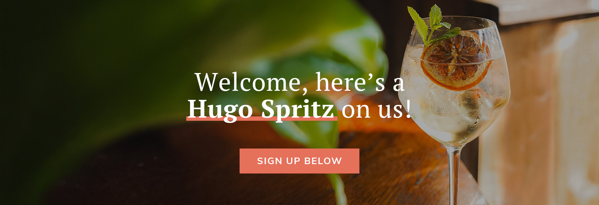 Sign up to the newsletter at The Volunteer