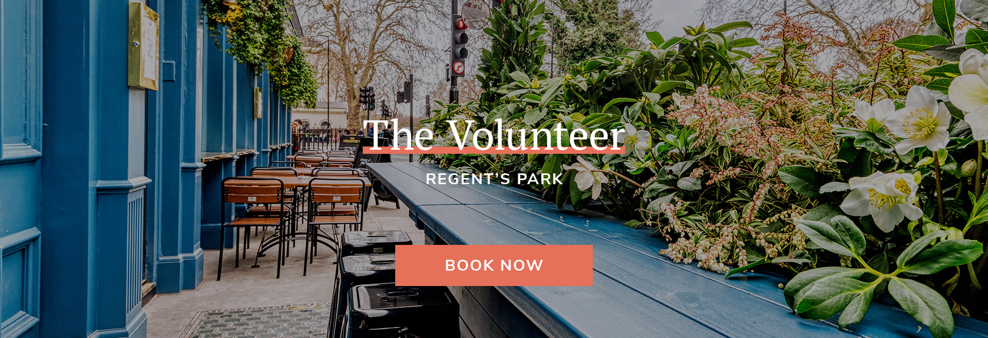 The Volunteer Banner 3